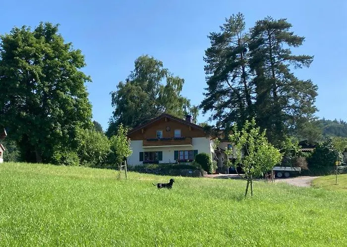 Goas-alm Waging am See