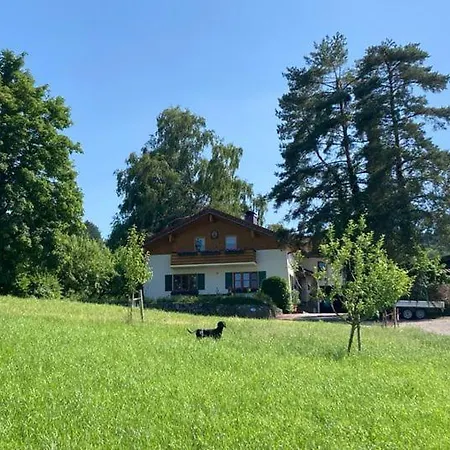 Goas-alm Waging am See