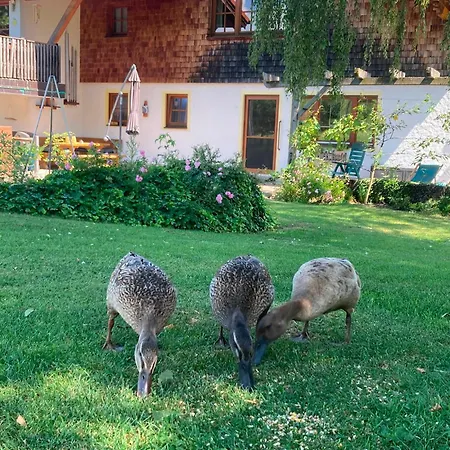 Goas-alm * Waging am See